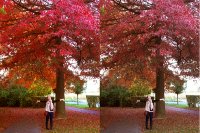 Ein kleiner Vergleich zwischen RGB und CMYK